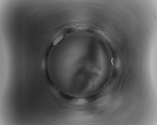 X0000099950715200805231322