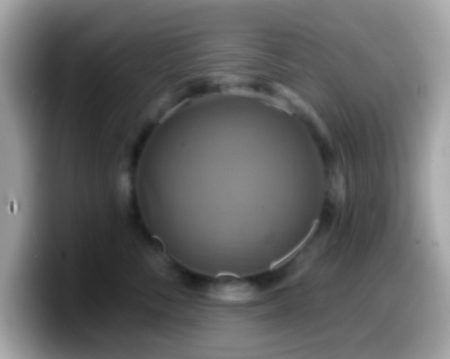 X0000099950716200805231322