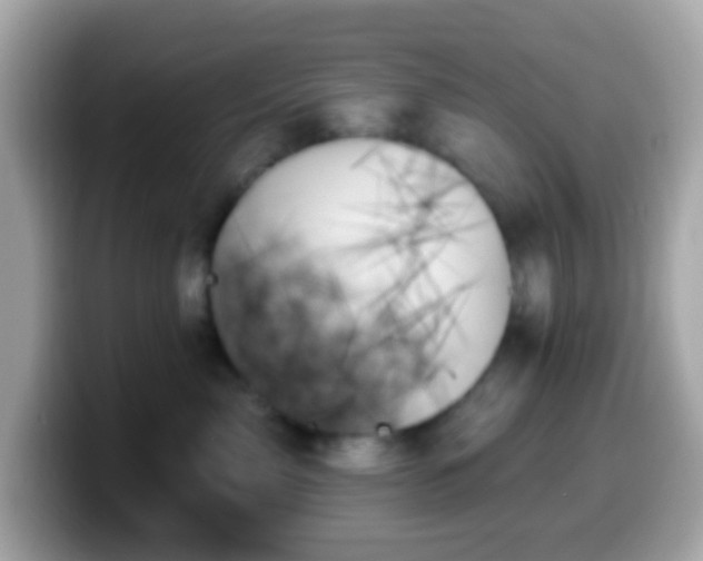 X0000099950717200805231322