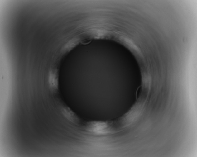 X0000099950719200805231321