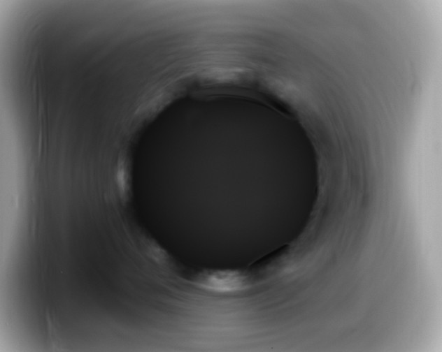 X0000099950720200805231321