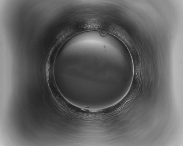 X0000099950722200805231321