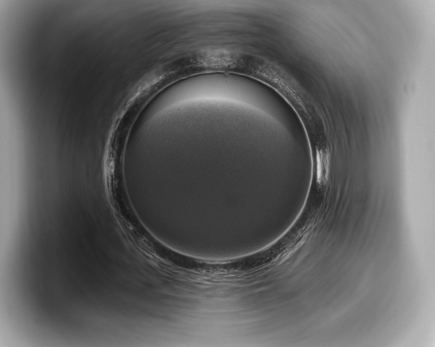 X0000099950723200805231321