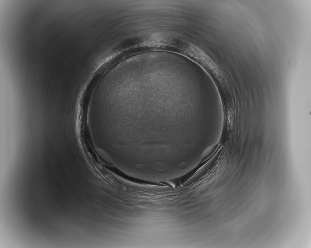 X0000099950724200805231321