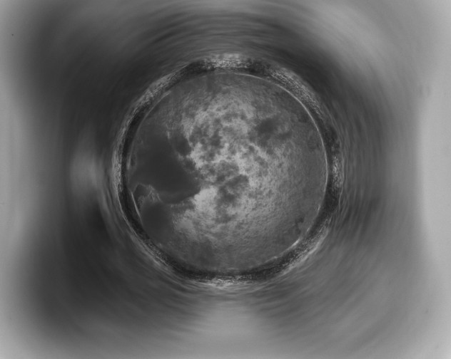 X0000099950725200805231321