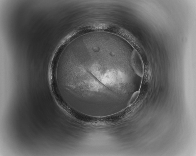 X0000099950726200805231321