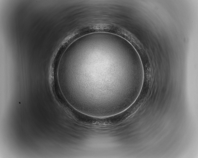 X0000099950727200805231321