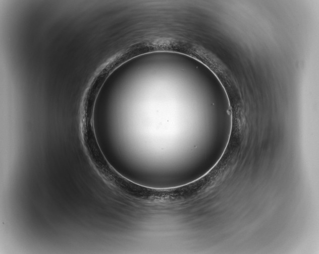 X0000099950728200805231321