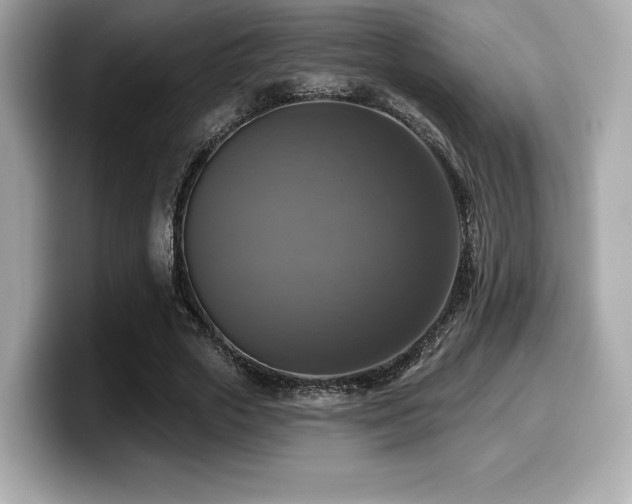 X0000099950729200805231321