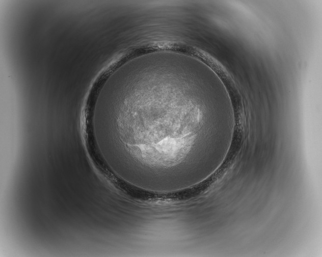 X0000099950730200805231321
