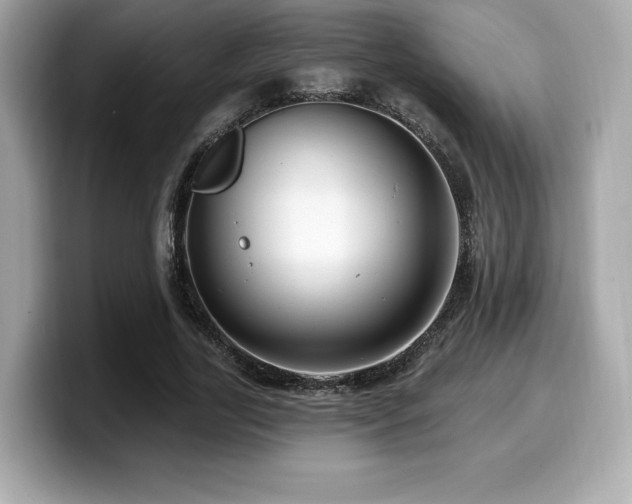 X0000099950731200805231321