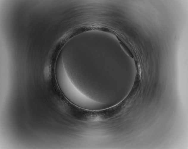 X0000099950735200805231321