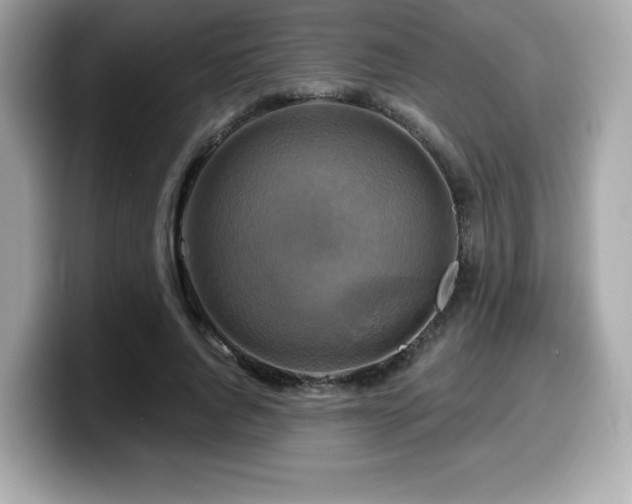 X0000099950736200805231321