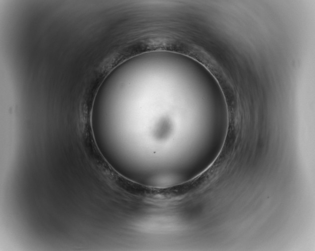 X0000099950737200805231321
