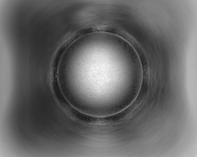 X0000099950738200805231321