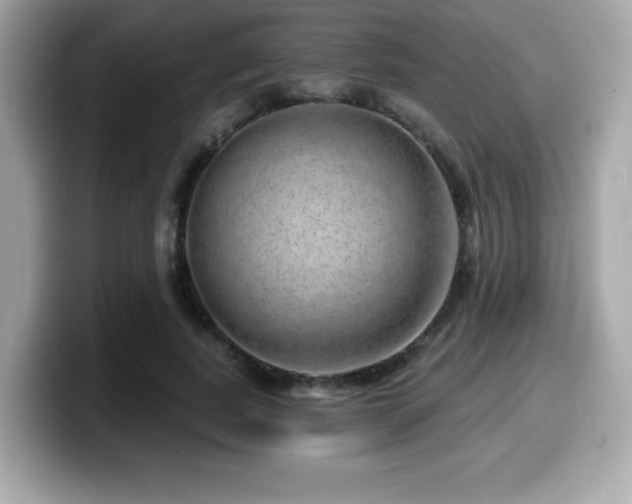 X0000099950739200805231321