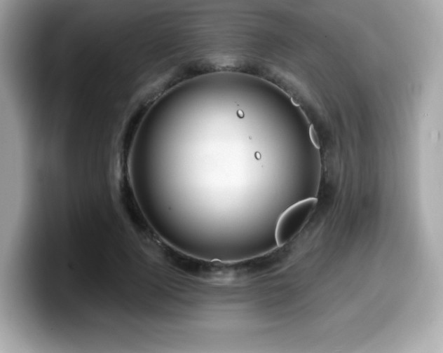 X0000099950740200805231321