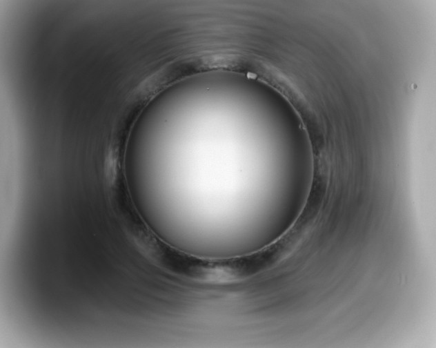 X0000099950741200805231321