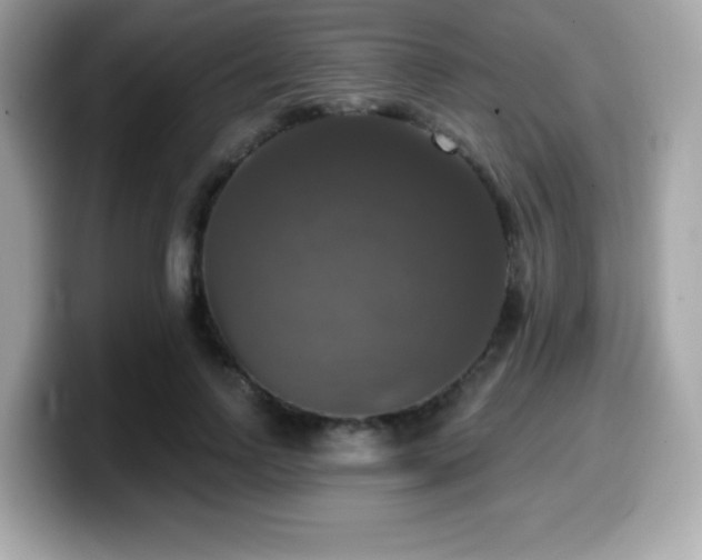 X0000099950742200805231321