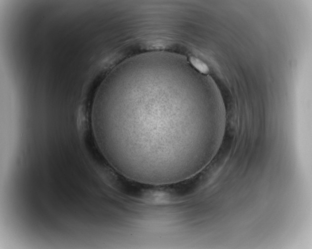 X0000099950743200805231321