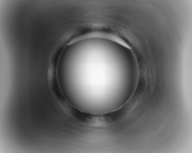 X0000099950744200805231321