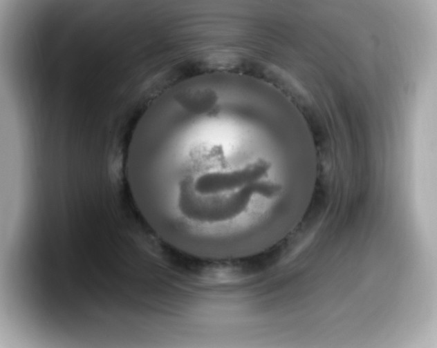 X0000099950745200805231321