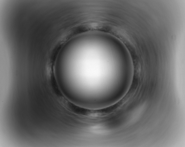 X0000099950746200805231321