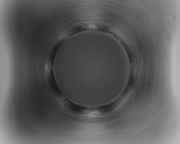 X0000099950747200805231321