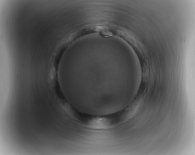 X0000099950748200805231321