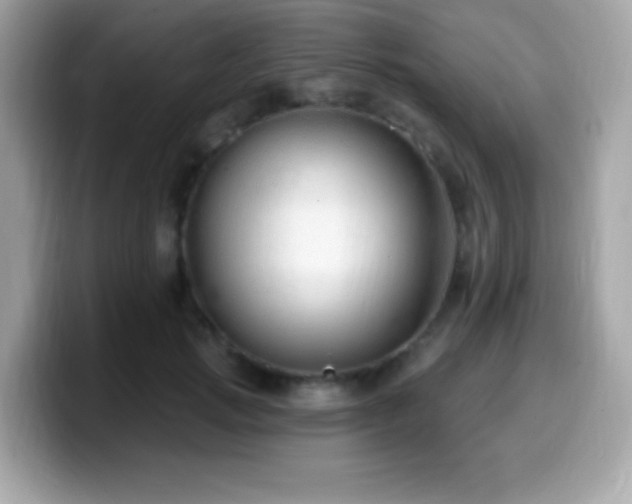 X0000099950749200805231321
