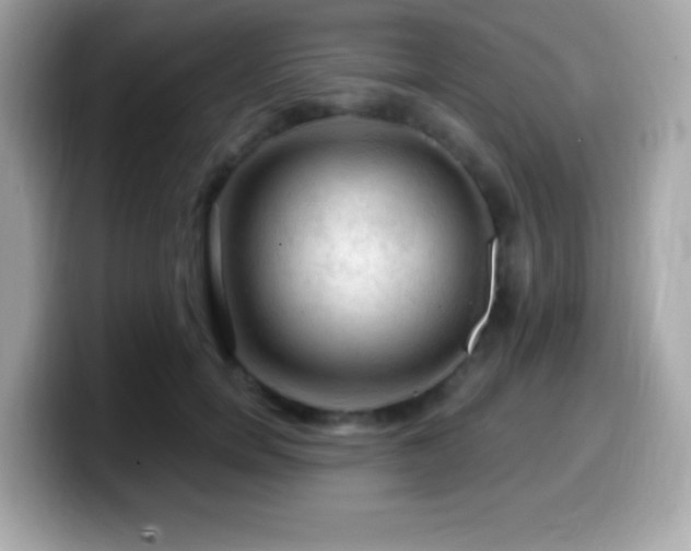 X0000099950750200805231321