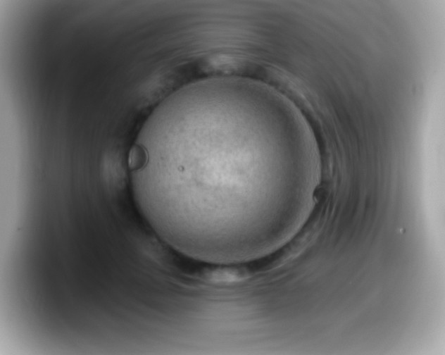X0000099950751200805231321