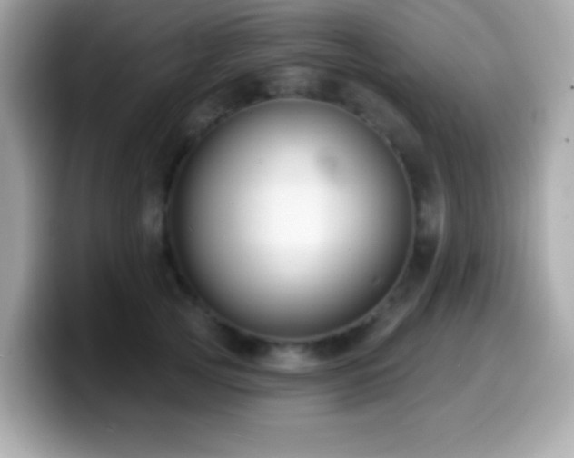 X0000099950753200805231321