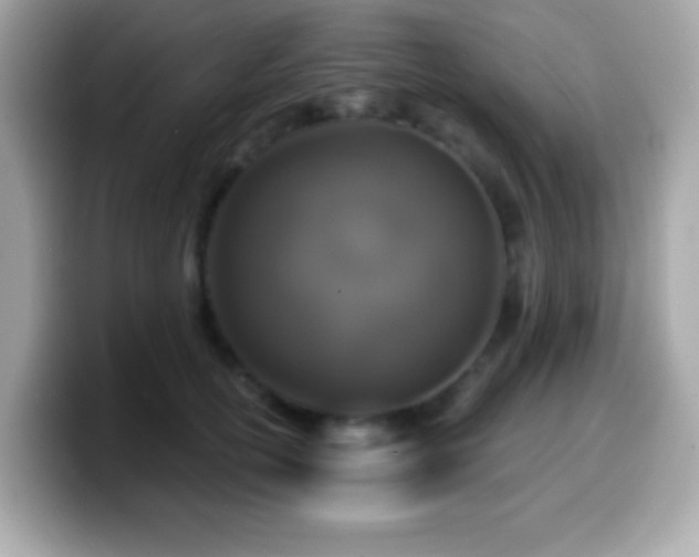 X0000099950754200805231321