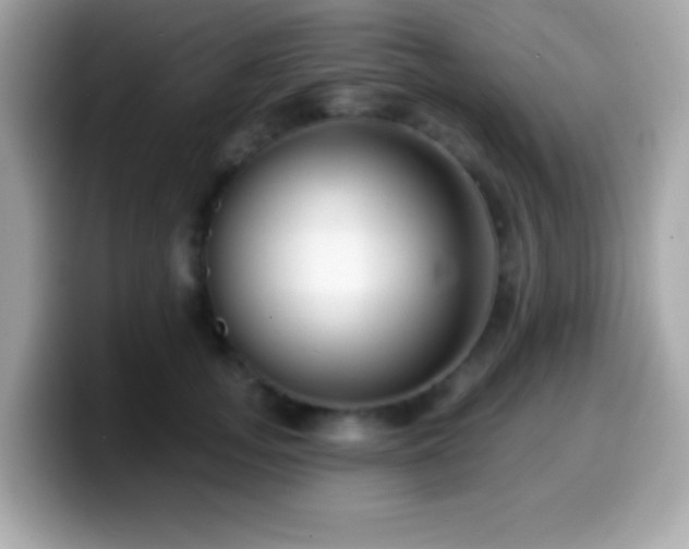 X0000099950755200805231321