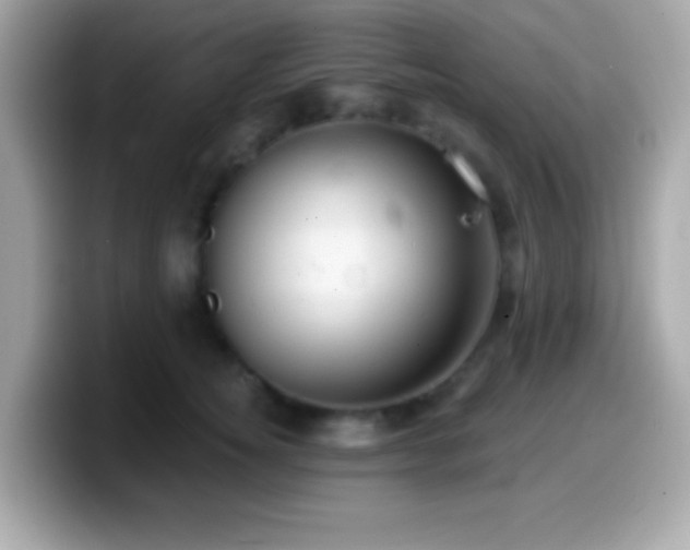 X0000099950756200805231321