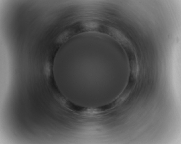 X0000099950758200805231321