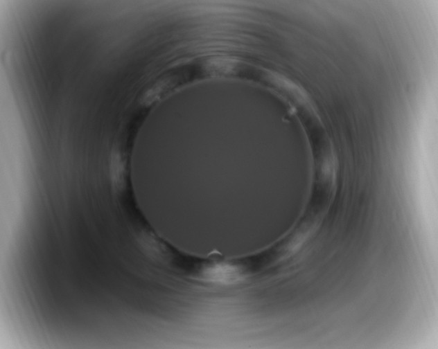X0000099950759200805231321