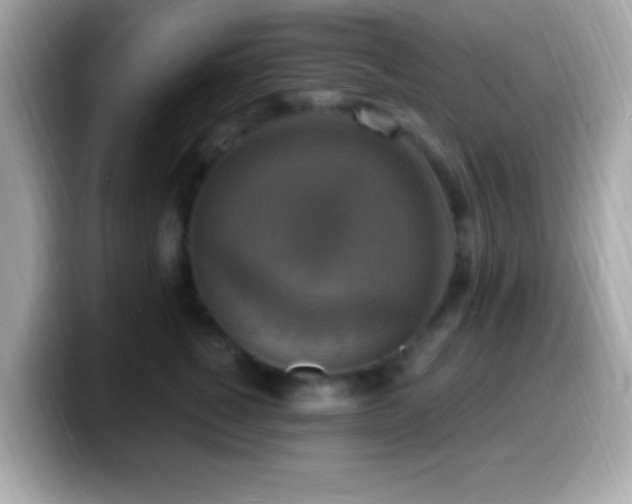 X0000099950760200805231321