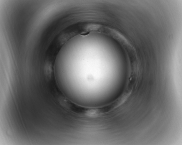 X0000099950761200805231321