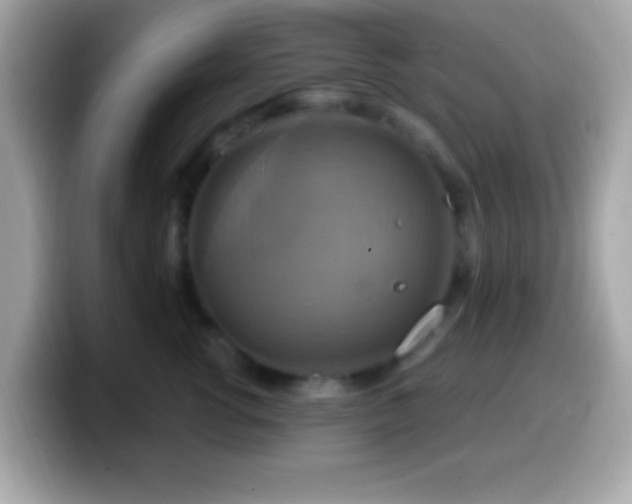 X0000099950762200805231321