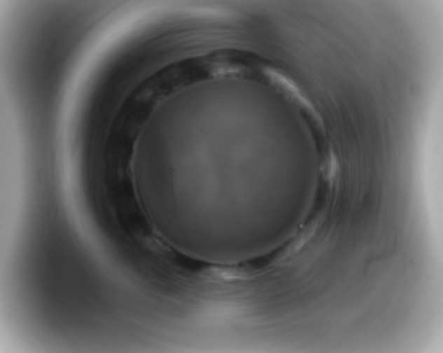 X0000099950763200805231321