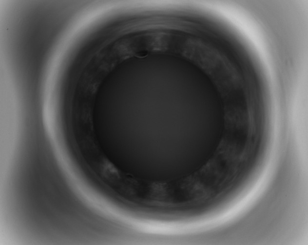 X0000099950766200805231321