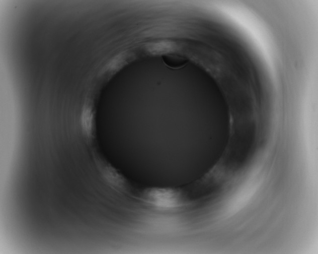 X0000099950767200805231321