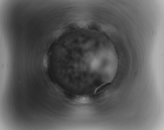 X0000099950768200805231321