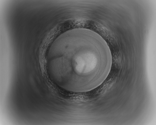 X0000099950769200805231321