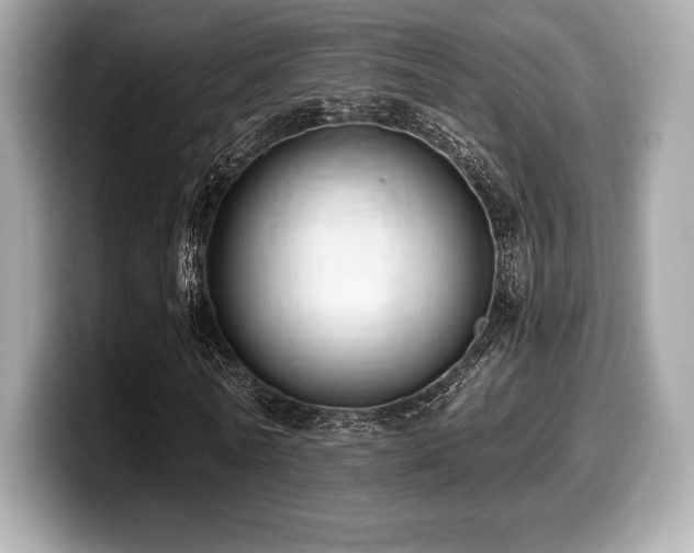 X0000099950770200805231321