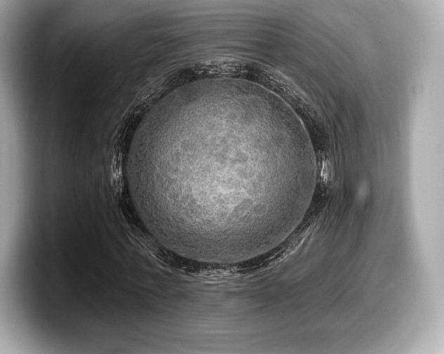 X0000099950771200805231321