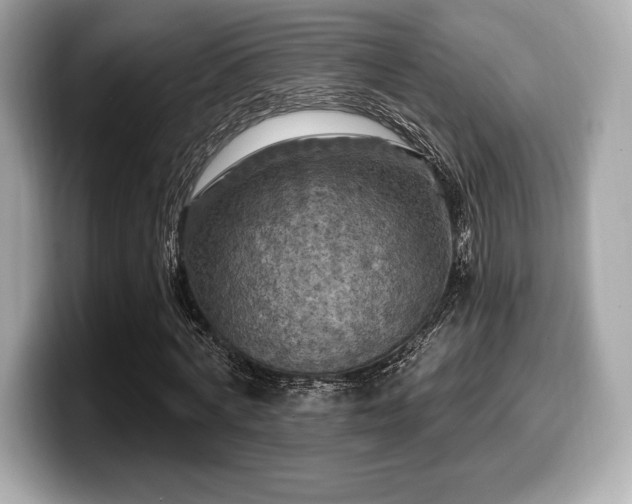 X0000099950772200805231321