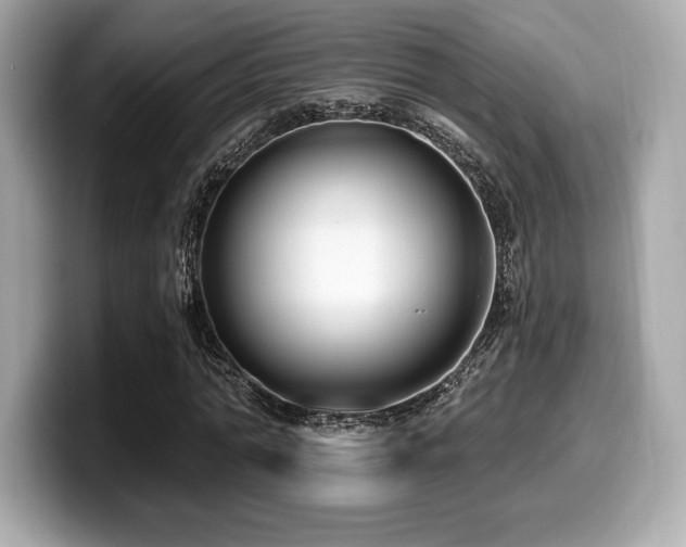 X0000099950774200805231321